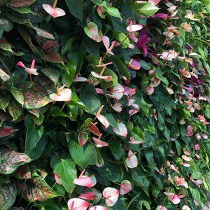 Meet your Posher, Enchanted